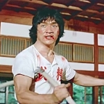 The New Fist of Fury